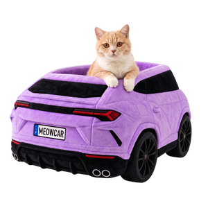 MEOWCAR™ Lit voiture mural pour chat