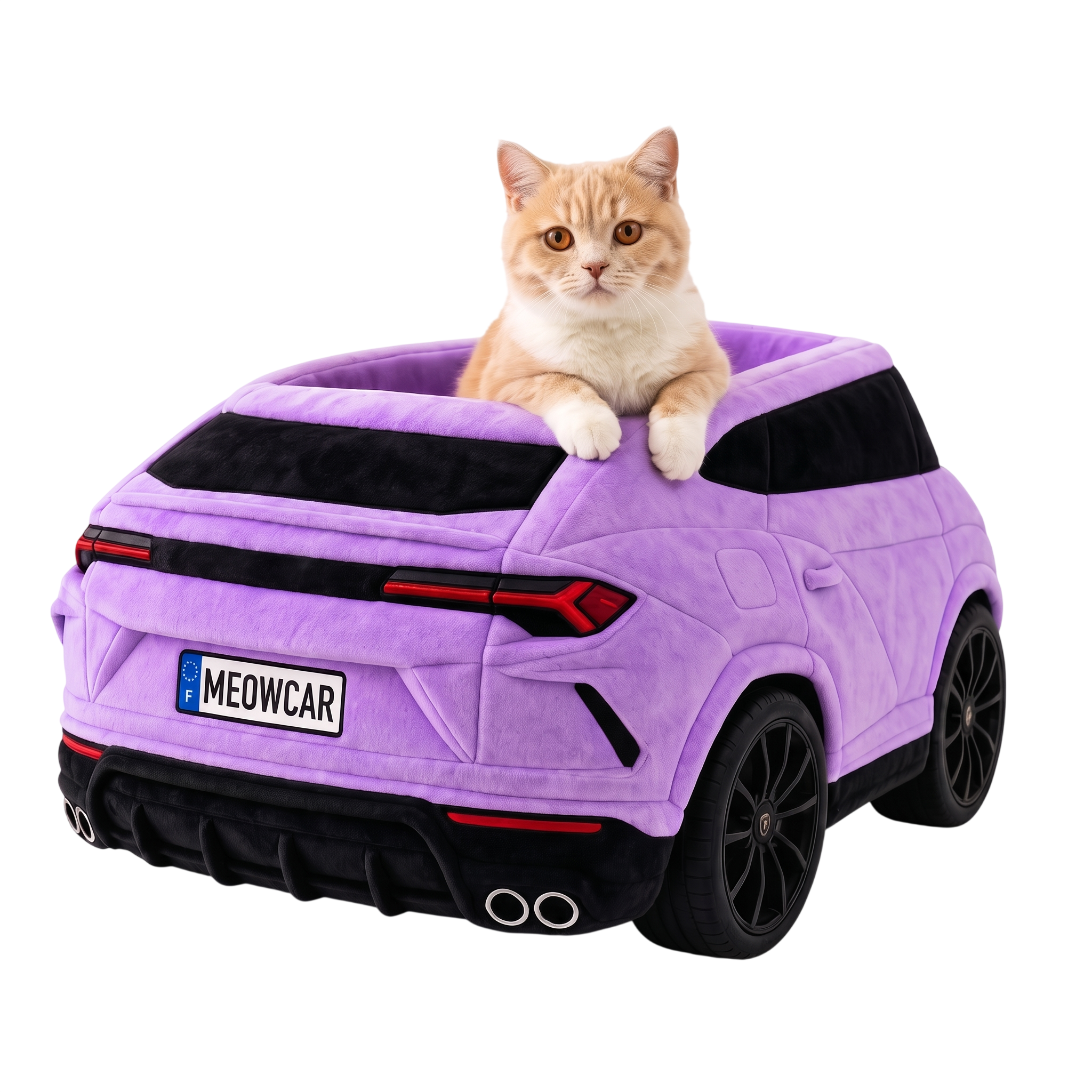 MEOWCAR™ Lit voiture mural pour chat