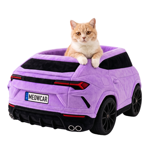MEOWCAR™ Lit voiture mural pour chat